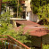 Sobaka Hostel 