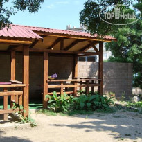 Большая Медведица 