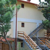 Большая Медведица 