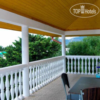 Большая Медведица 