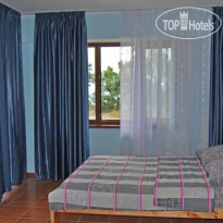 Большая Медведица 