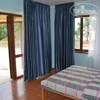 Большая Медведица 