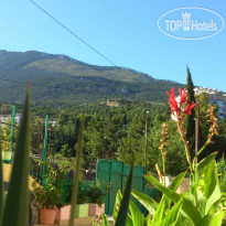 Хостел на Грибоедова 