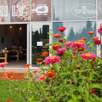 Фамилия Делюкс Кафе в отеле. Европейская, япо