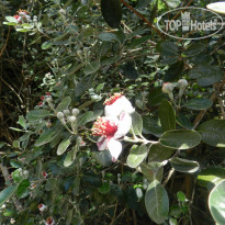 Усадьба Прованс 