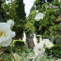 Лиго Морская 