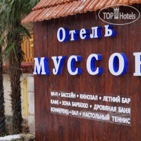 Муссон
