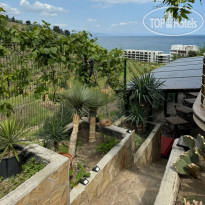 Вилла Аннигора 