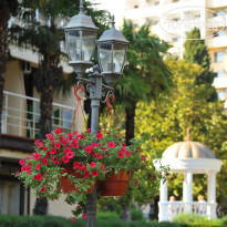 GOLDEN RESORT 