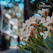 Московский 