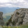 Алвис