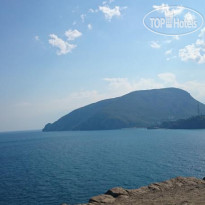 Камелия
