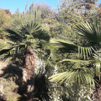 ТаврикаГолд 