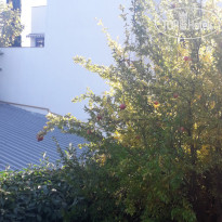 ТаврикаГолд 