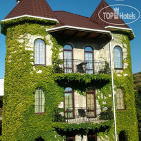 Замок Алустон Замок "Алустон"