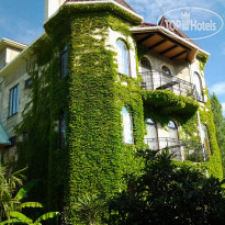 Замок Алустон Замок"Алустон"