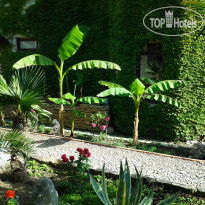 Замок Алустон 