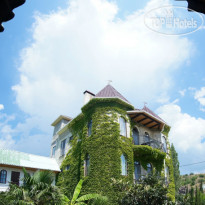 Замок Алустон 