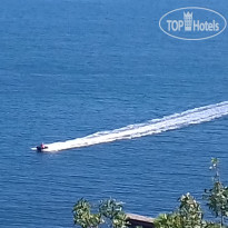 Mindal (Миндаль) 