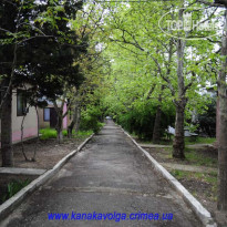 Волга 