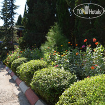 Экоотель Алые Паруса   