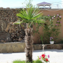 Sourozh Guest House