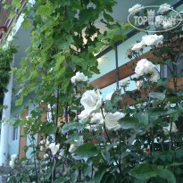 Оазис Судак 