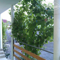 Оазис Судак 