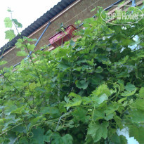 Оазис Судак 