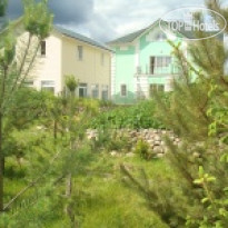 Андреевское 