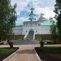 Лесной дворик 