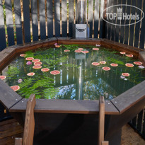 Ambient Park by Russian Seasons 