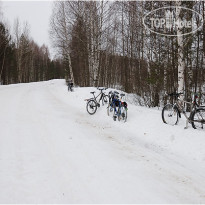 Чайка 