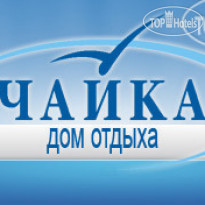 Чайка 