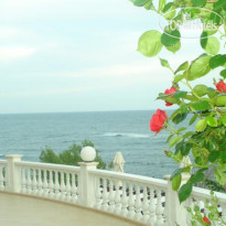 Iannis Paradise