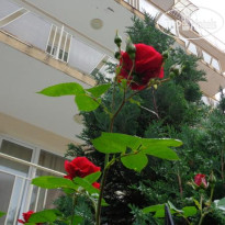 Gerovi Guest House