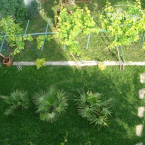 Georgiev Guest House 