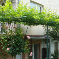 Georgiev Guest House 