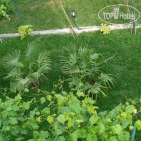 Georgiev Guest House 