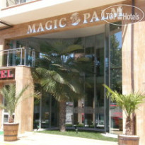 Magic Palm 