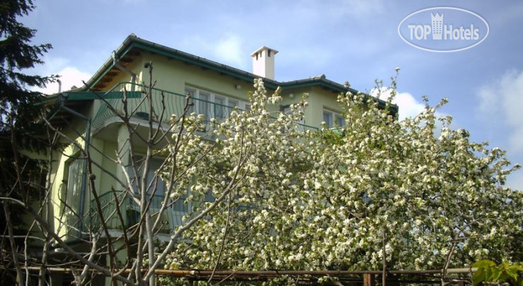 Hotel photo Slona Guest House 2*