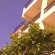 Diamant Guest House Отель