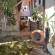 Olimpia Guest House  