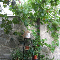 Stancho & Nevena Guest House 