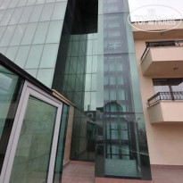 Витоша Тулип 