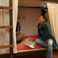Canape Connection Hostel