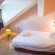 Vega Pension 
