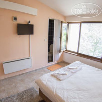 Vega Pension 