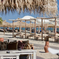 Palace - Marina Dinevi