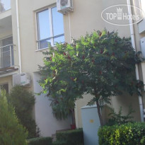 Sea View Apartments